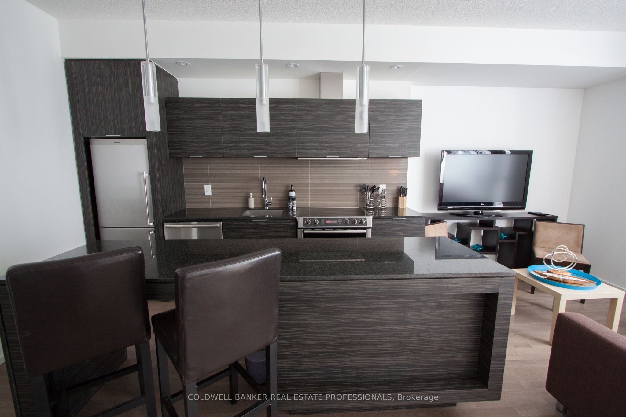Unit 513 (Furnished) - 8 Charlotte Street, Toronto 3